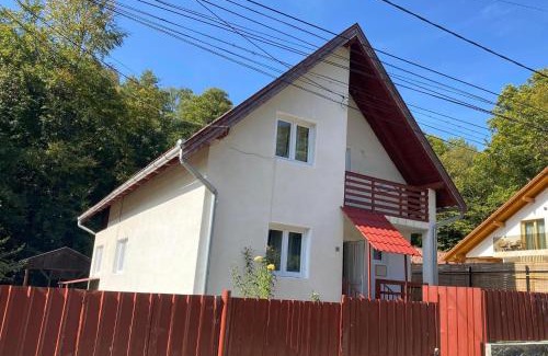 Sovata House | Casa Micul Arin