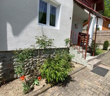 Sovata House | Casa Micul Arin