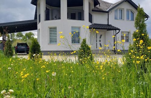 Sighetu Marmatiei House | Casa Mihai Marius