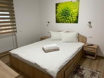 Sovata House | Casa Milla