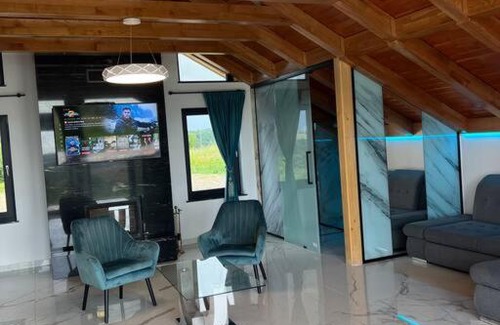 Sinteu House | Casa moderna in Sinteu - intersectia intre modern si linistea naturii