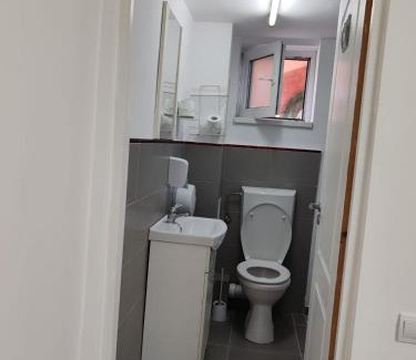 Cluj-Napoca House | Casa Muresan