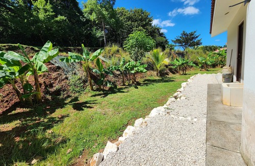 Rio Seco Villa | Casa Naranja Jungle Villa