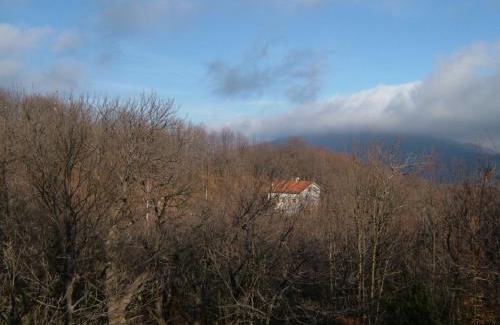 Osiglia House | Casa nel bosco