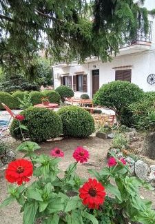 Falconara Albanese House | Casa nel verde !