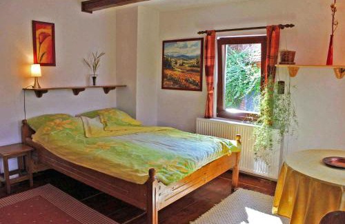 Saliste Apartment | Casa Nicu
