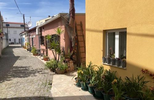 Apulia House | Casa Nova
