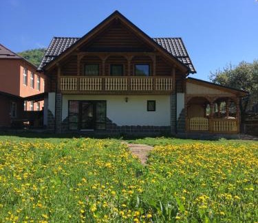 Viseu de Sus House | Casa Nova