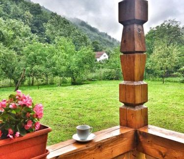 Viseu de Sus House | Casa Nova
