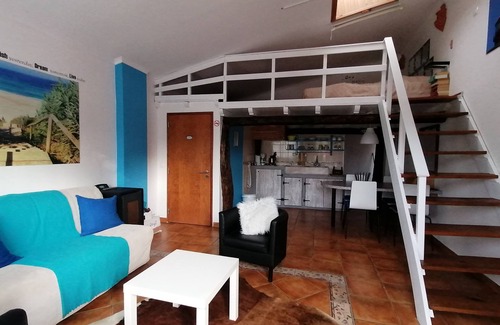 Alcobaca Cottage | Casa Oliveira with terrace
