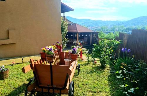 Jiblea Veche House | Casa Ostrov