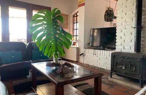 El Cadillal House | Casa Palmera - Un gran espacio para disfrutar