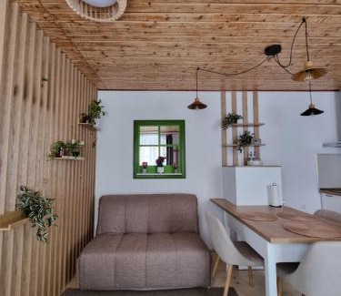 Historic Center House | Casa Pasajul Scarilor