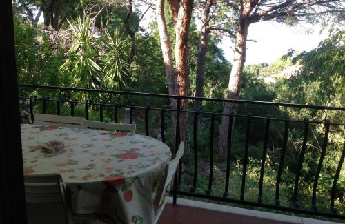 Sant' Andrea Apartment | Casa Perez