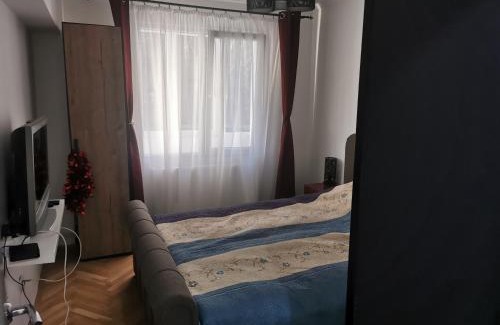 Tirgu Mures Apartment | Casa Potcoava