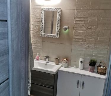 Tirgu Mures Apartment | Casa Potcoava