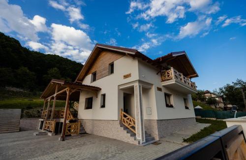 Vadu Izei House | Casa Pricop Moroșană