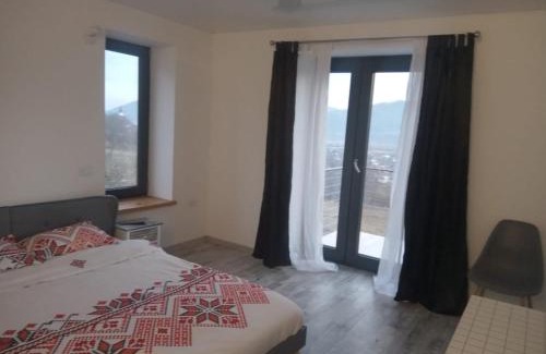 Viisoara Villa | Casa Prieteniei - rezervare integrală