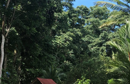 Punta Uva Apartment | Casa privada a 5 min de la playa Punta Uva