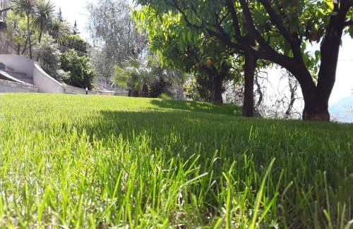 Castelletto Apartment | Casa Punta Veleno