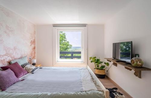Csakbereny House | Casa Quint