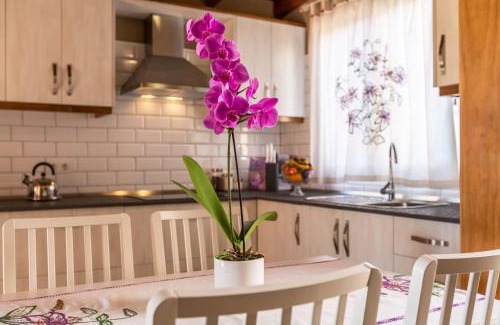 Arecida Apartment | Casa Quintana - Apartamento Carla
