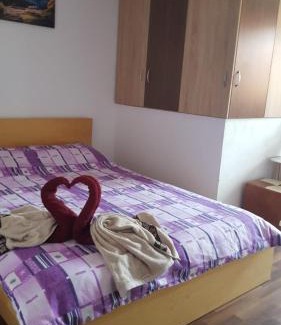 Calimanesti House | Casa Rariana