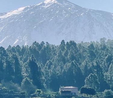 Icod de los Vinos Villa | Casa Regina