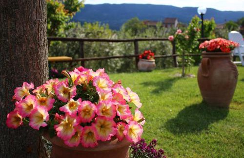 Stroncone House | Casa relax e vacanza Il Moraiolo