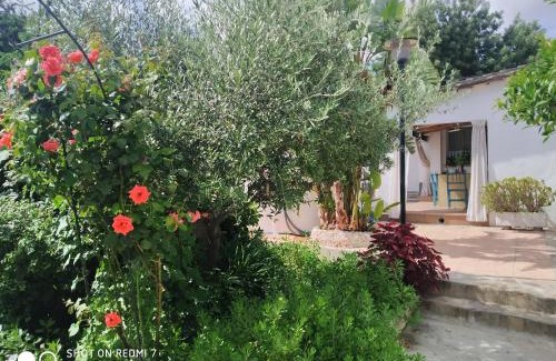 Sant Jaume dels Domenys House | Casa Relax