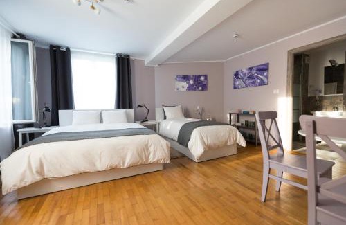 Tirgu Jiu House | Casa Ris