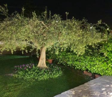 Elice Resort | Casa Rosa