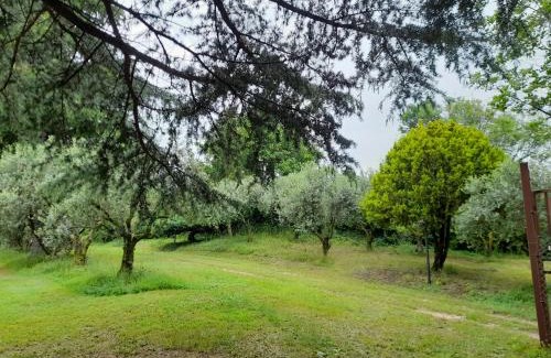 Nord-Est House | Casa Rosetta
