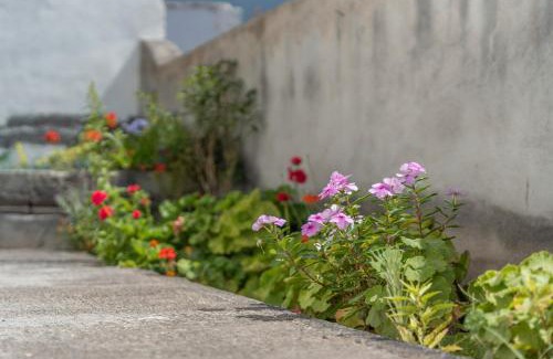 Las Puntas House | Casa Rosi