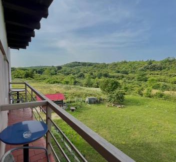 Baile Felix House | Casa Roua