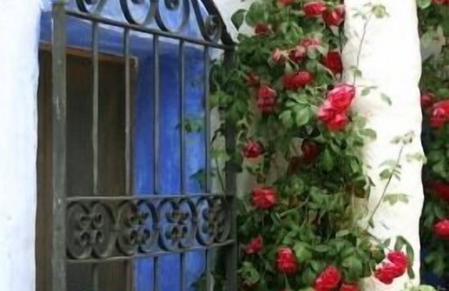 Huercal-Overa Cottage | Casa Rural Aloe Vera for 4 people
