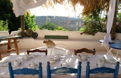 Huercal-Overa Cottage | Casa Rural Aloe Vera for 4 people