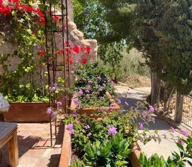 Ardenya House | Casa rural con jardín,a 8km playa y en la naturaleza Taronja&canyella