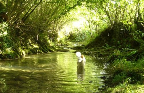 Arbatzegi-Gerrikaitz House | Casa Rural Garro