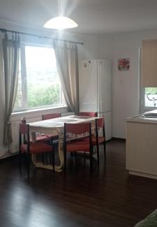 Turda House | Casa Salin