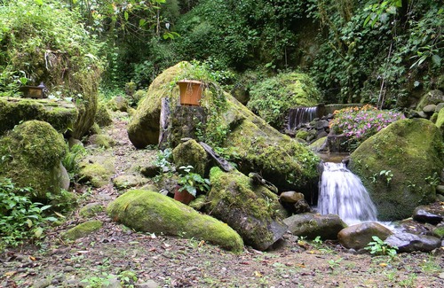 Copey Bed & Breakfast | Casa San Rafael del Pedregoso