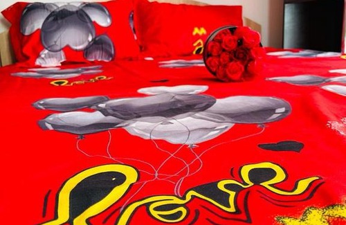 Copou Apartment | Casa Sandra Iasi