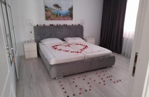 Sannicolau Mare Bed & Breakfast | Casa Sannicolau