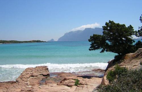 Murta Maria House | Casa Santoreggia Olbia, Porto Istana, Murta Maria