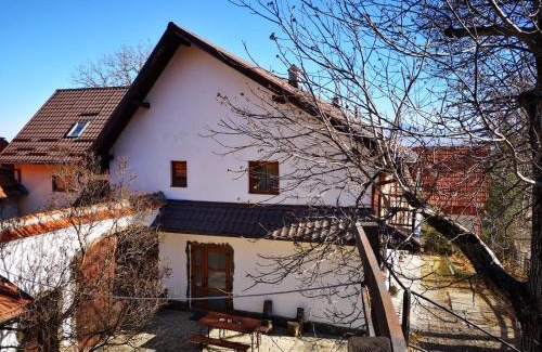 Bran Cabin | Casa Sofia