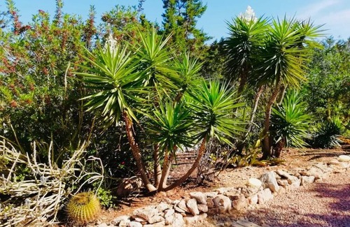 Formentera House | Casa Solea Formentera - Eco Beach House
