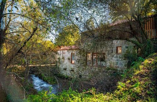 Ponte de Lima House | Casa Som do Rio