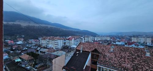 Piatra Neamt Apartment | Casa Suzana 2 camere
