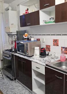 Piatra Neamt Apartment | Casa Suzana 2 camere