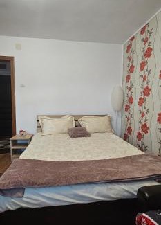Piatra Neamt Apartment | Casa Suzana
